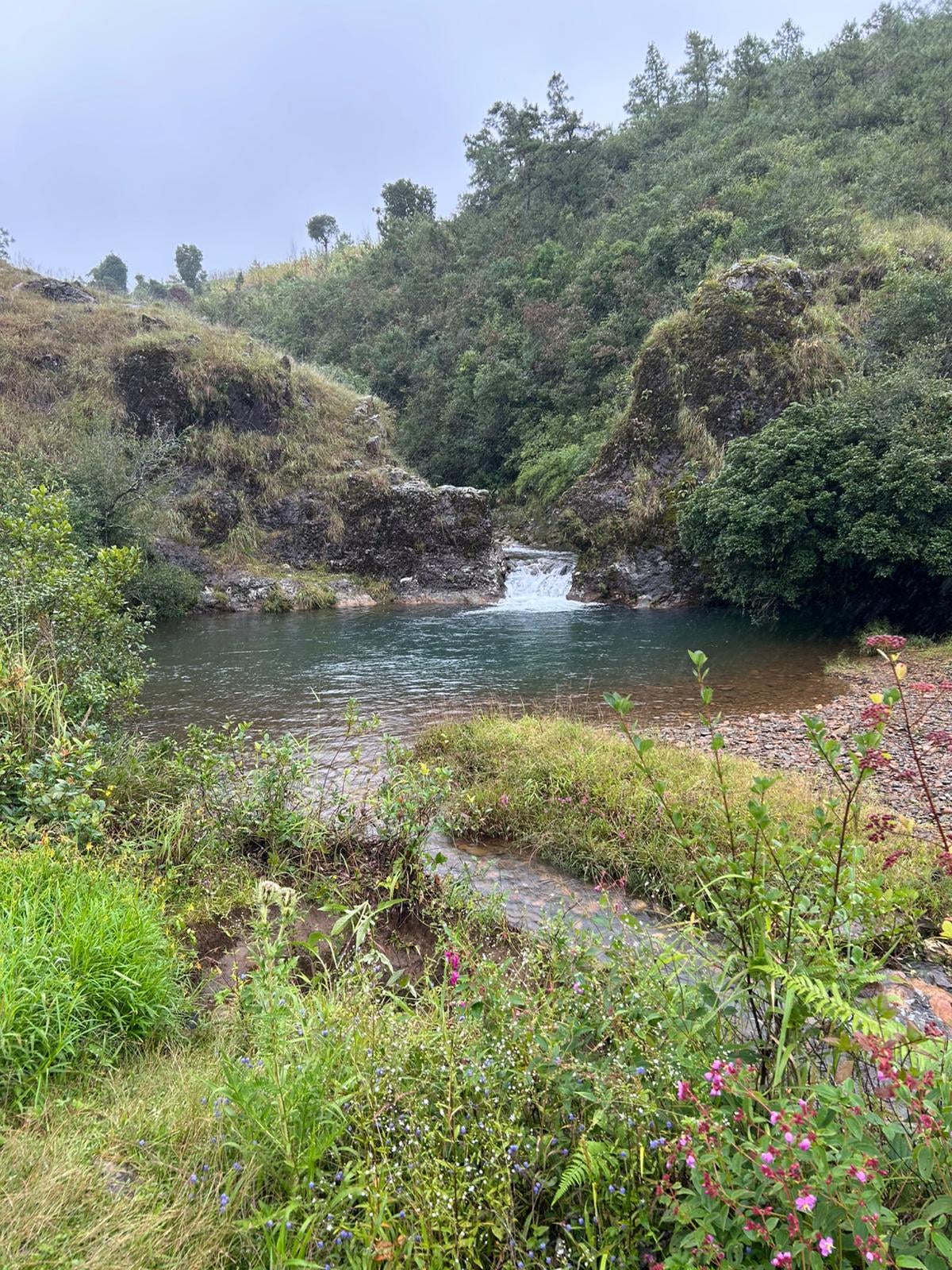Mawphlang Sacred Grove