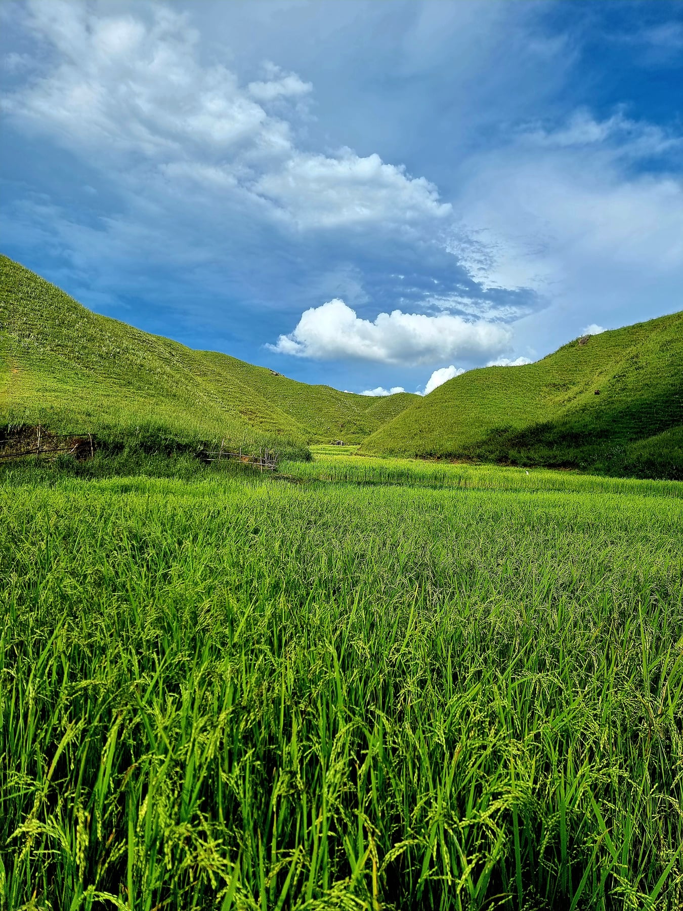 Mawsynram